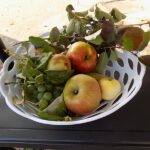 MGBP Filia nr 1 spotkanie z jesienią - koszyk z jesiennymi owocami