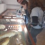 Retromaniacy w Lisowicach zwiedxzamy muzeum paleontologiczne