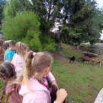 zajecia edukacyjno-czytelnicze, dzieci na spacerze oglądają zwierzęta przez barierki