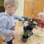 wsadzanie roślin przez dzieci