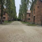 KL Auschwitz alejka z barakami