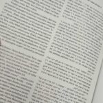 wnętrze gazety