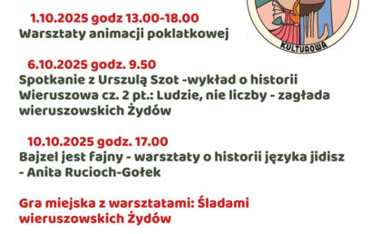 Zapraszamy na warsztaty: „Bajzel jest fajny” z Anitą Rucioch-Gołek